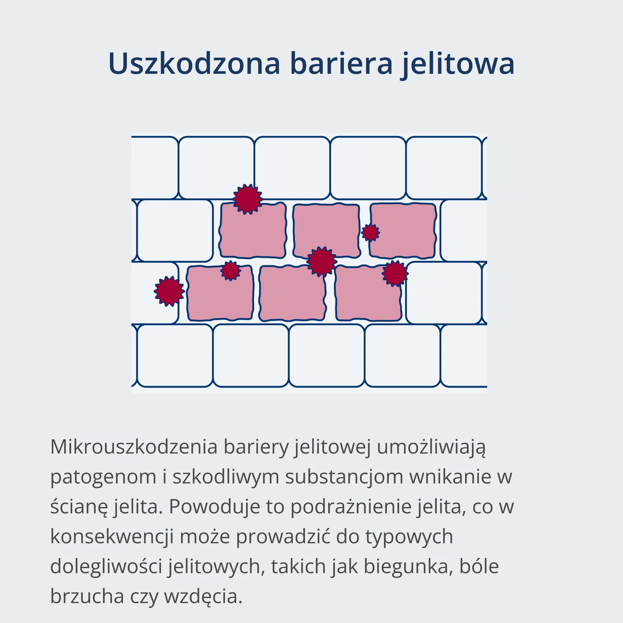 Zdjęcie produktu 5