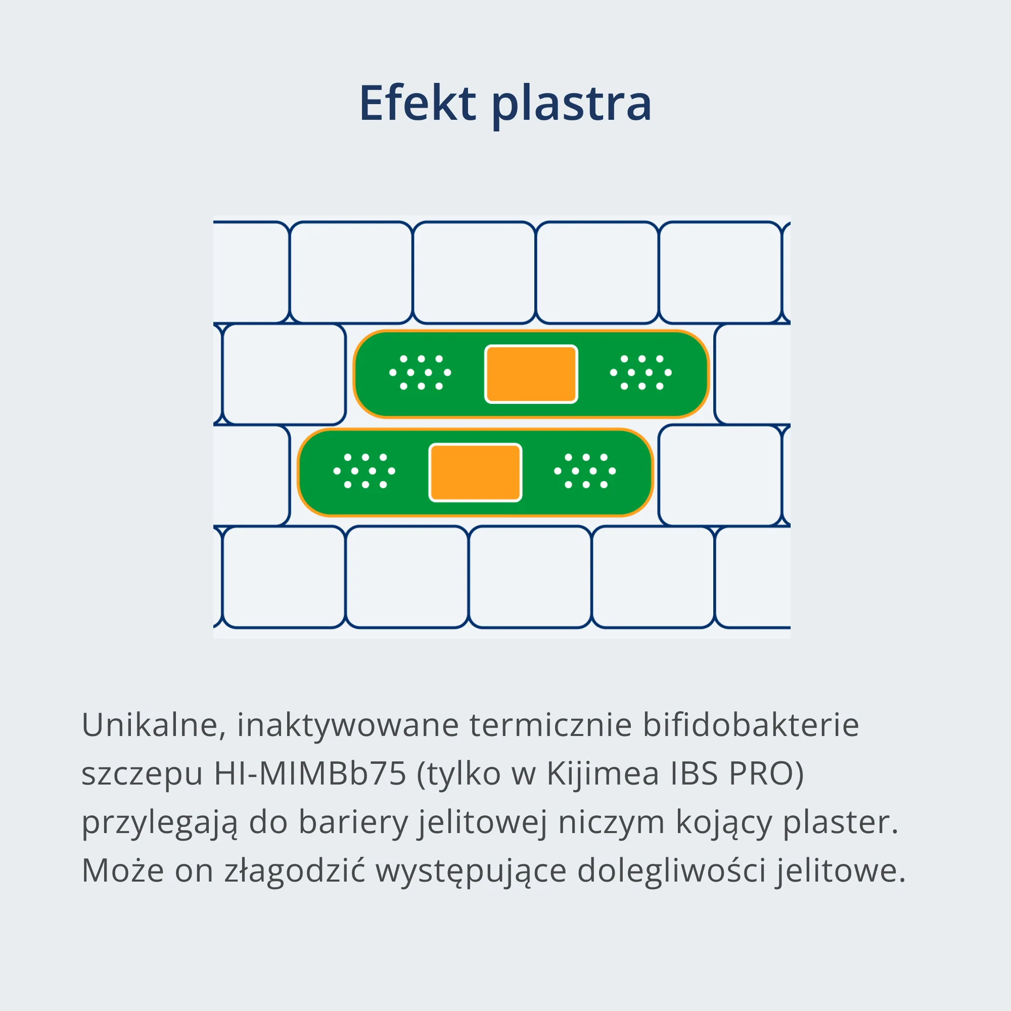 Zdjęcie produktu 6